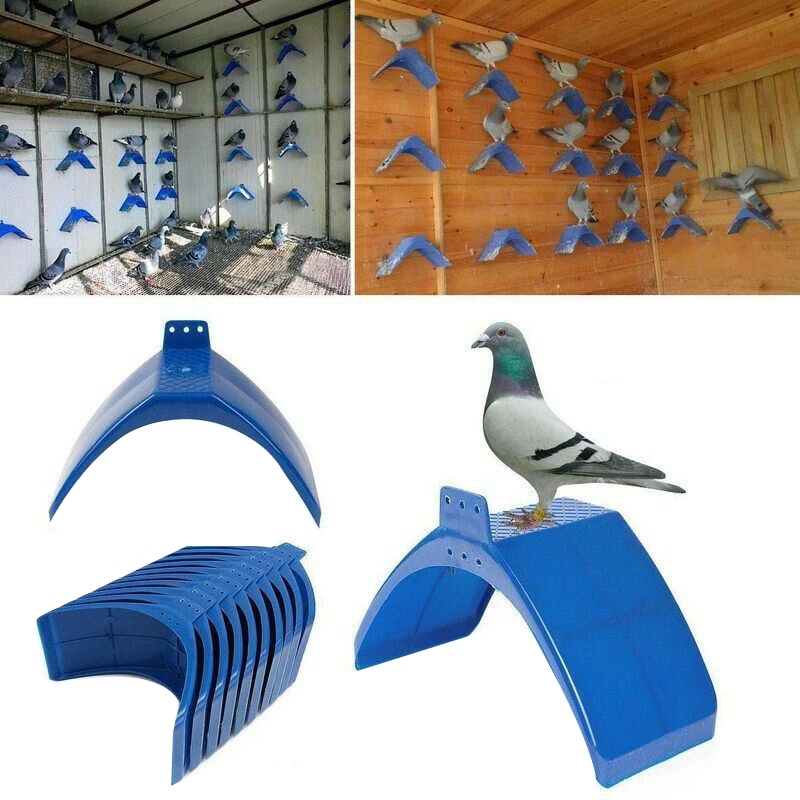 Best 20 Pcs Plastic Dove Rest Stand Dwelling Pigeon Perches Roost Bird Supplies