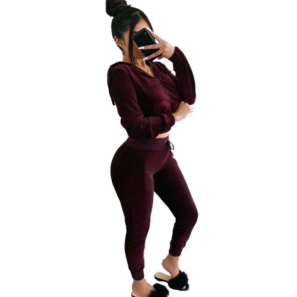 Dark Red Однотонный Бархатный комплект из 2 предметов, женские костюмы с капюшоном и длинным рукавом, на молнии спереди, толстовка и длинные штаны, повседневный зимний свитер - Цвет: Dark Red