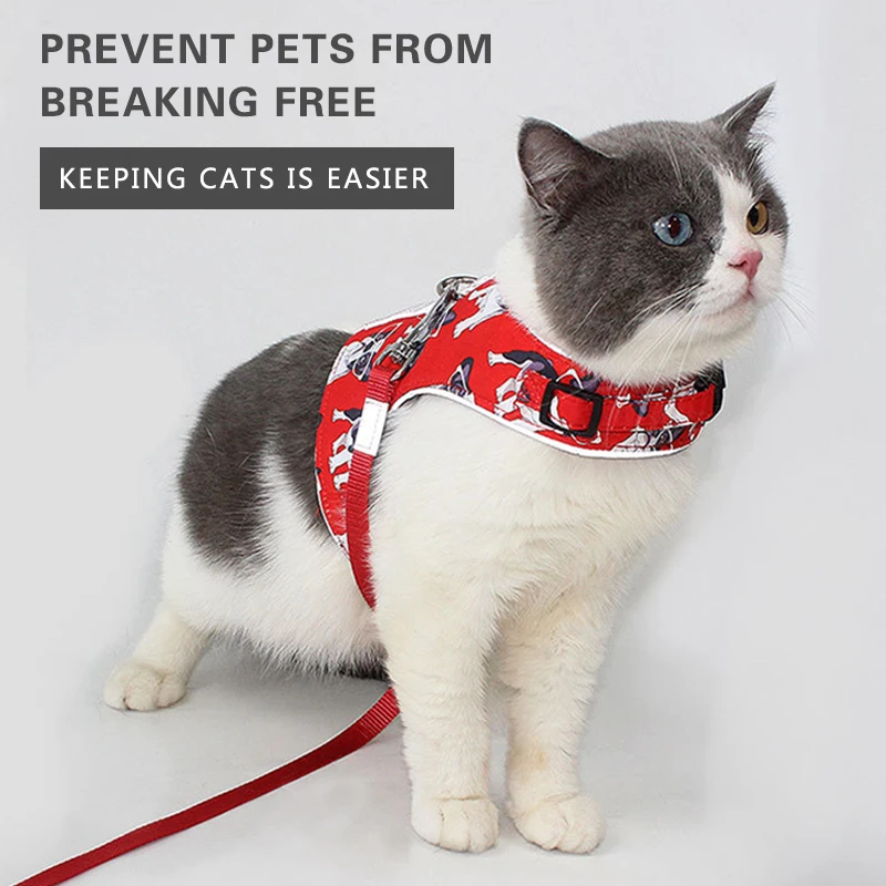 Conjunto de Correa y arnés ajustable para perro y gato, chaleco de malla transpirable, correa reflectante para el pecho para gatos pequeños y medianos, suministros para caminar al aire libre