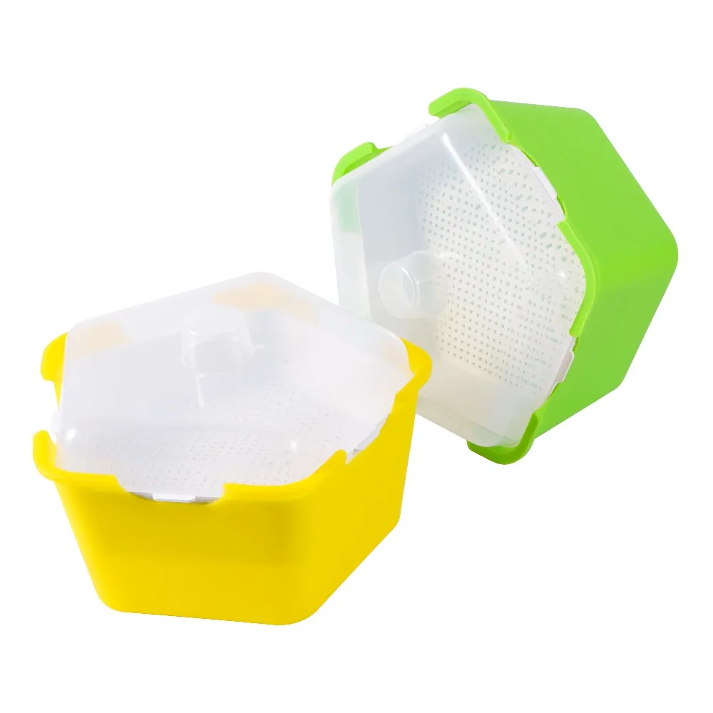 Pentagonal Plastic Sprout Planting Pot Box Bean Pea Sprouter Seedling Tray Wheat Grass Cat Grass Nursery Growing Germination Kit