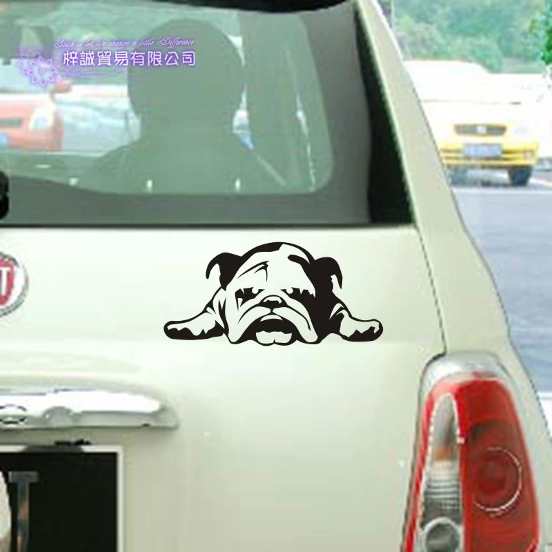 Puppy Switch Sticker Decal Pet Shop Sticker Decalcomania Poster Vinile Wall Art Decalcomanie Decor Murale Pet Clinic Decal Car Sticker