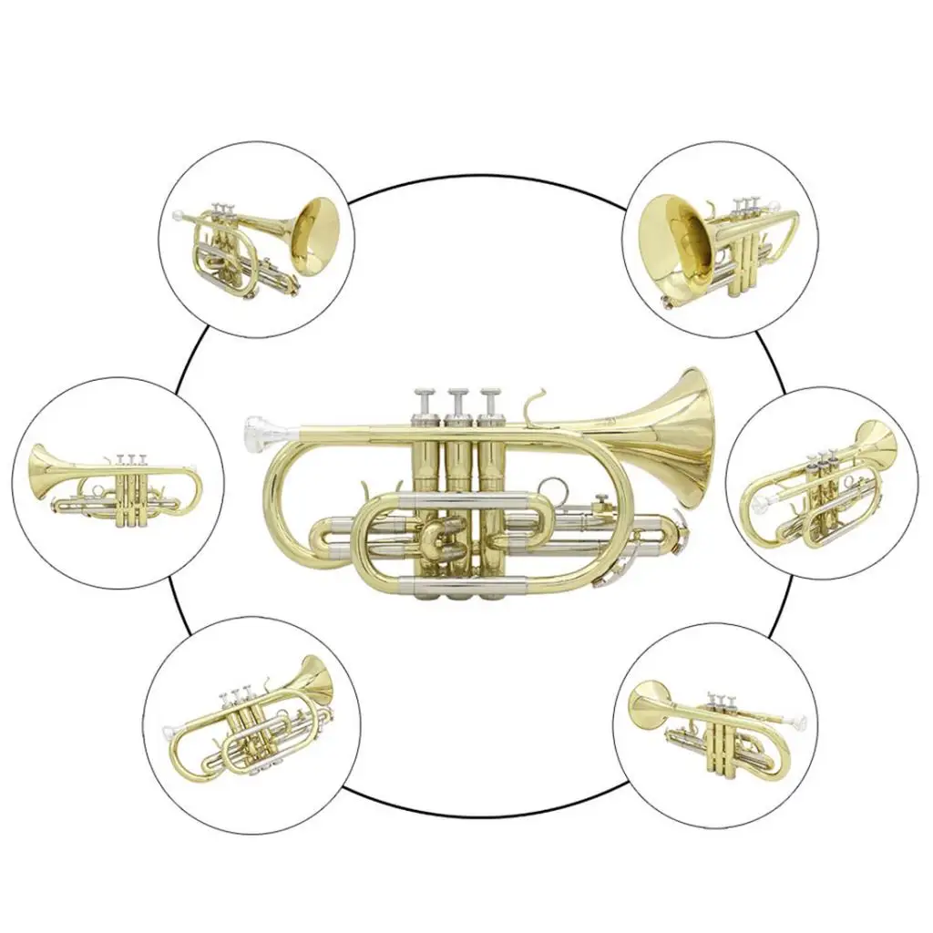 

Professional Bb Flat Cornet Brass with Storage Case Gloves Cloth Grease Brush Kit for Concert Practice