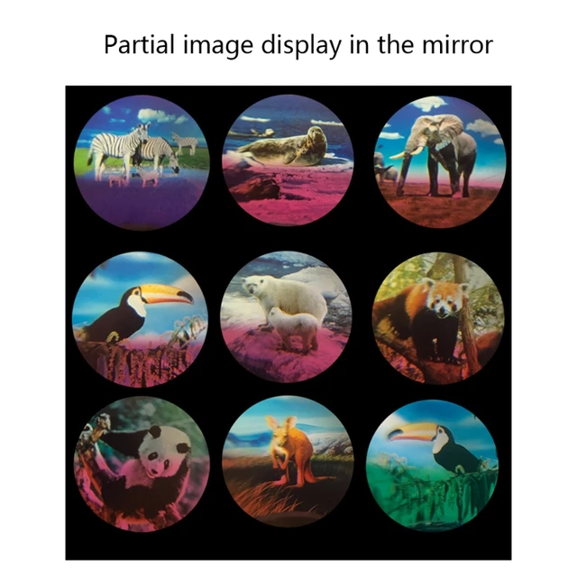 Realistic Camera Model Toy Set for education Kindergarden Gifts Game Props 5