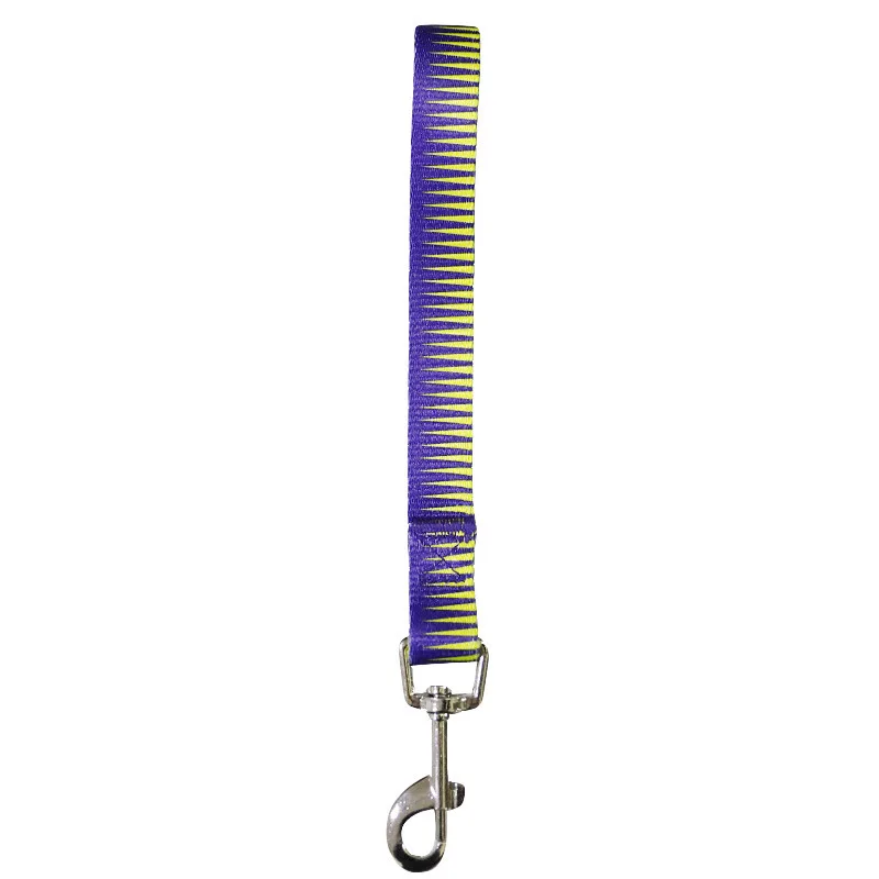 Dog Safety Belt (14)