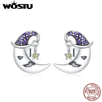 

WOSTU Real 925 Sterling Silver Cartoon Moon Star Stud Earrings Purple Unusual Earrings For Women Fashion Silver Jewelry CQE954