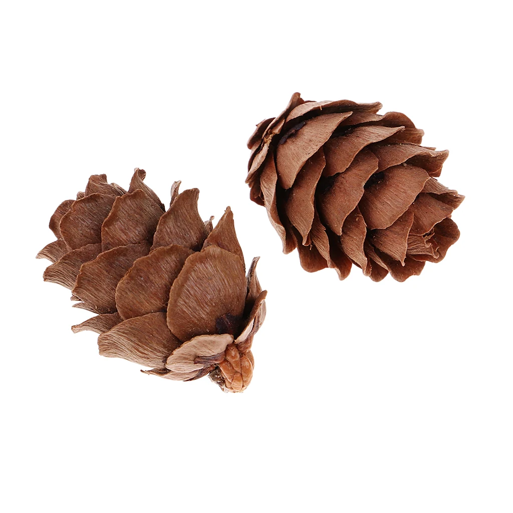 50pcs Small Real Natural Pine Cones For Wedding Xmas Party Hanging Decoration Home Room Cafe Ornament Photo Prop