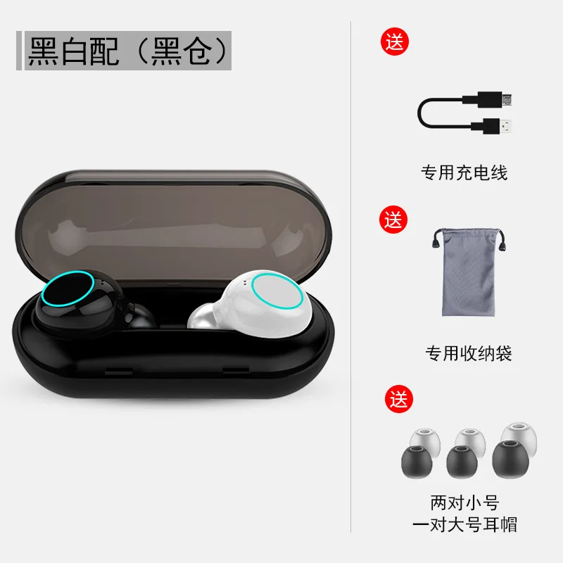 BlackWhite BlackCase LEORY TWS Беспроводные bluetooth 5,0 наушники IPX8 водонепроницаемые спортивные наушники для плавания шумоподавление сенсорное управление гарнитура с микрофоном - Цвет: BlackWhite BlackCase
