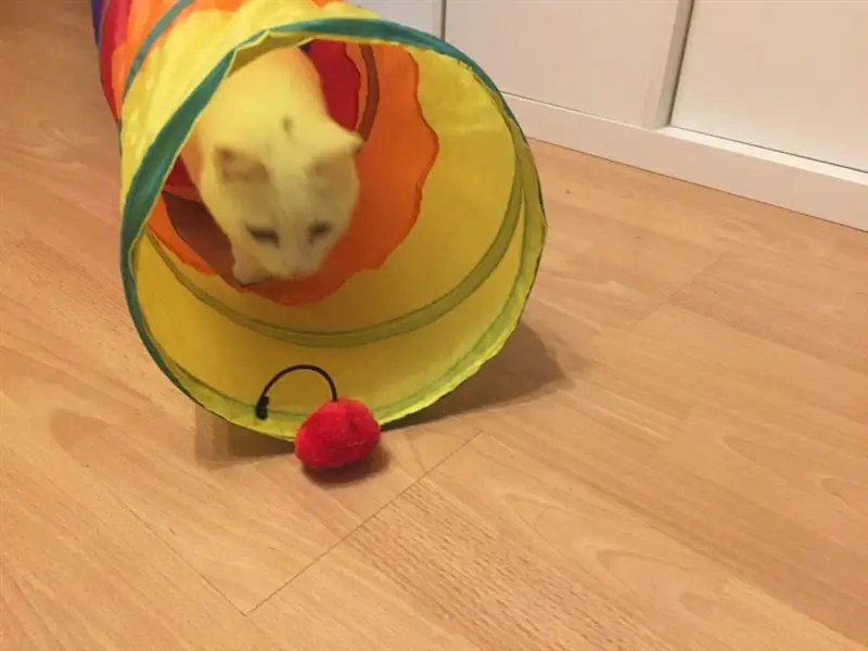 HTB1xbVGb13tHKVjSZSgq6x4QFXaz