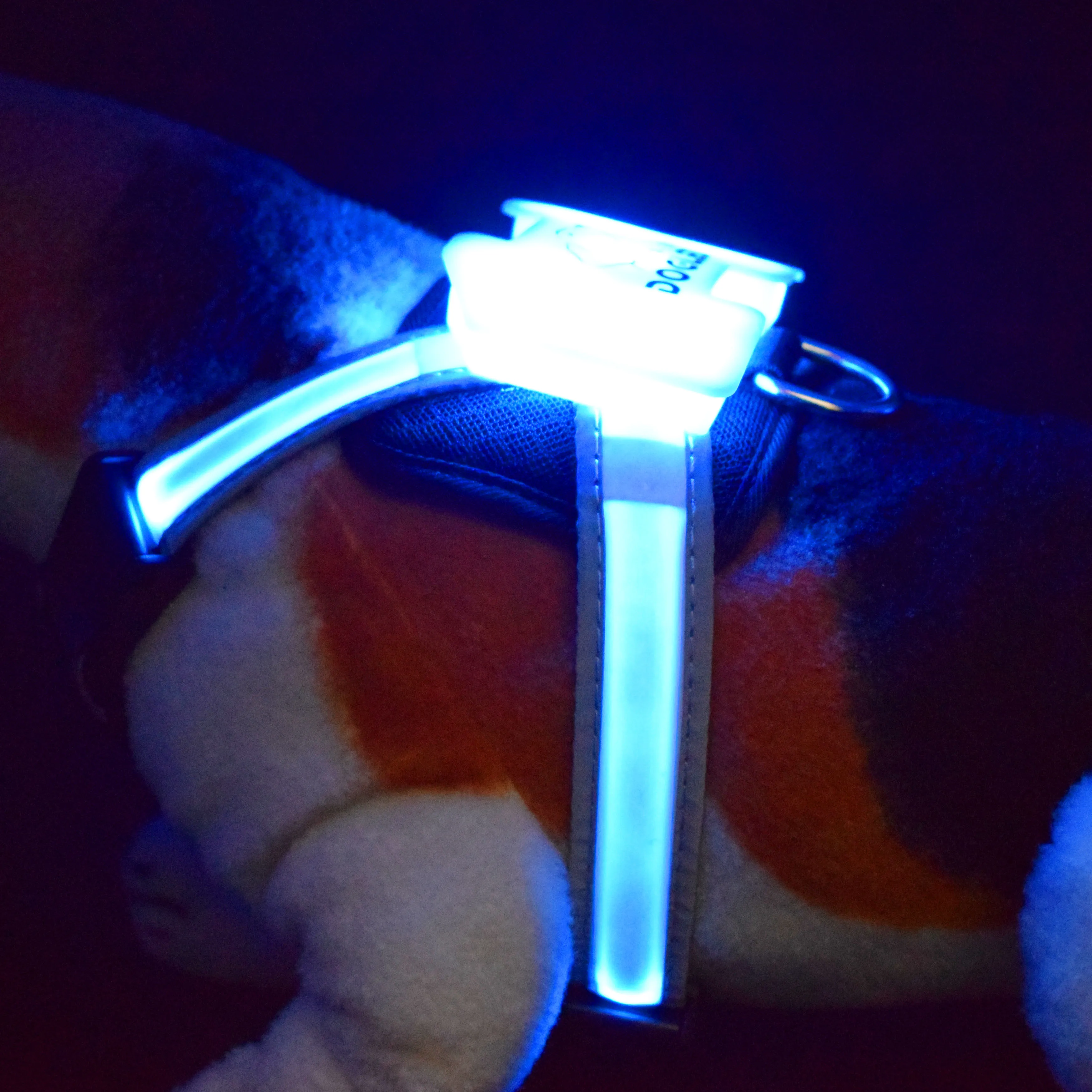 

harnesses for dogs light for dog