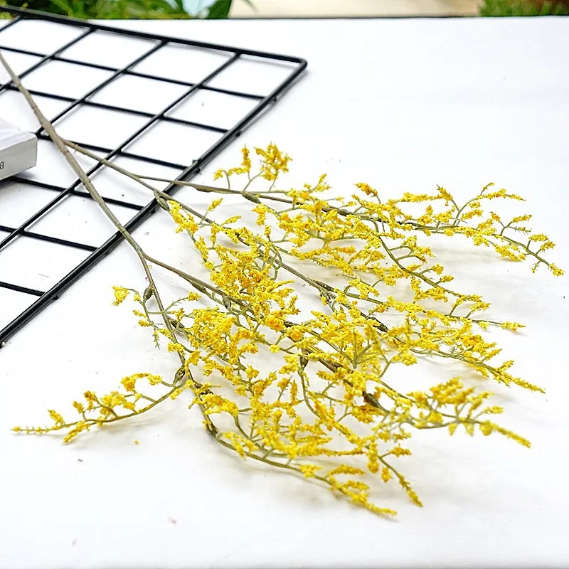 12901965255_874253957