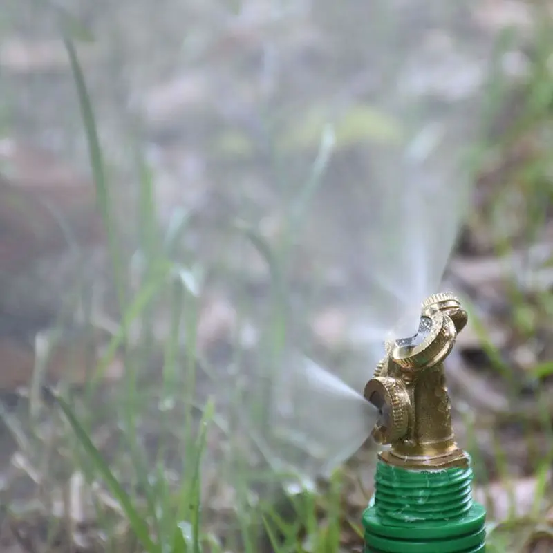 QQ图片20190729214458