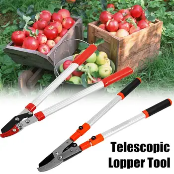 

Garden Cutter Branch Shear Tools Garden Hand Tools Pruning Tools Telescopic Tree Ratchet Lopper Pruner Extending