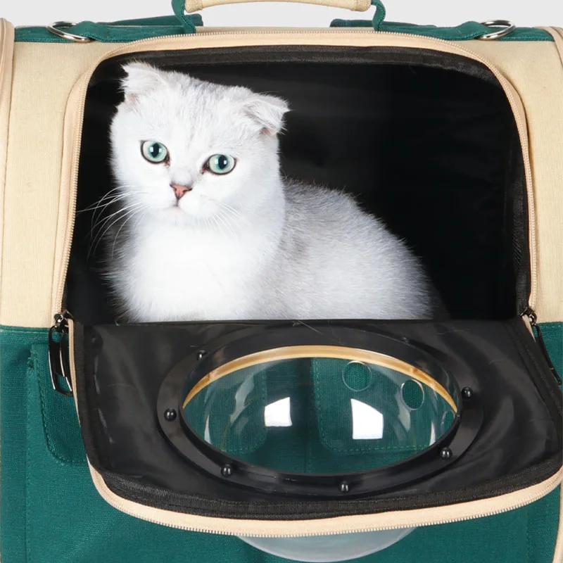 Foldable Pet Carrier Bag Cat Dog