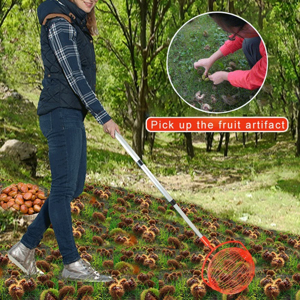 

Walnuts Chestnuts Harvester Roller Nut Collector Retractable Aluminum Alloy Ball Garden Fruit Picker Family Orchards Tool NEW