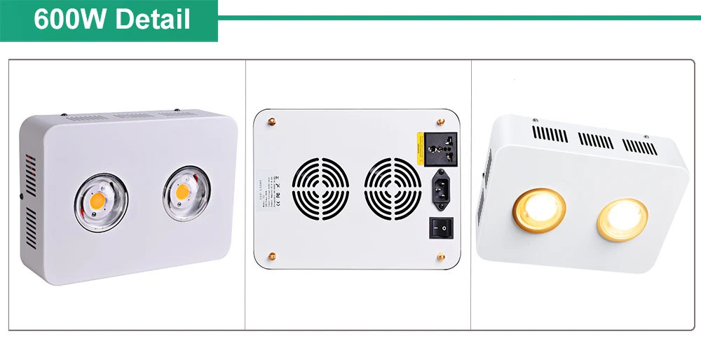 600W cree 1-恢复的