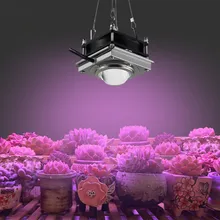 Профессиональные световые лампы для выращивания 300 Вт COB Светодиодная лампа для выращивания растений для растений цветок комнатный гидропонный парниковый светильник для выращивания s