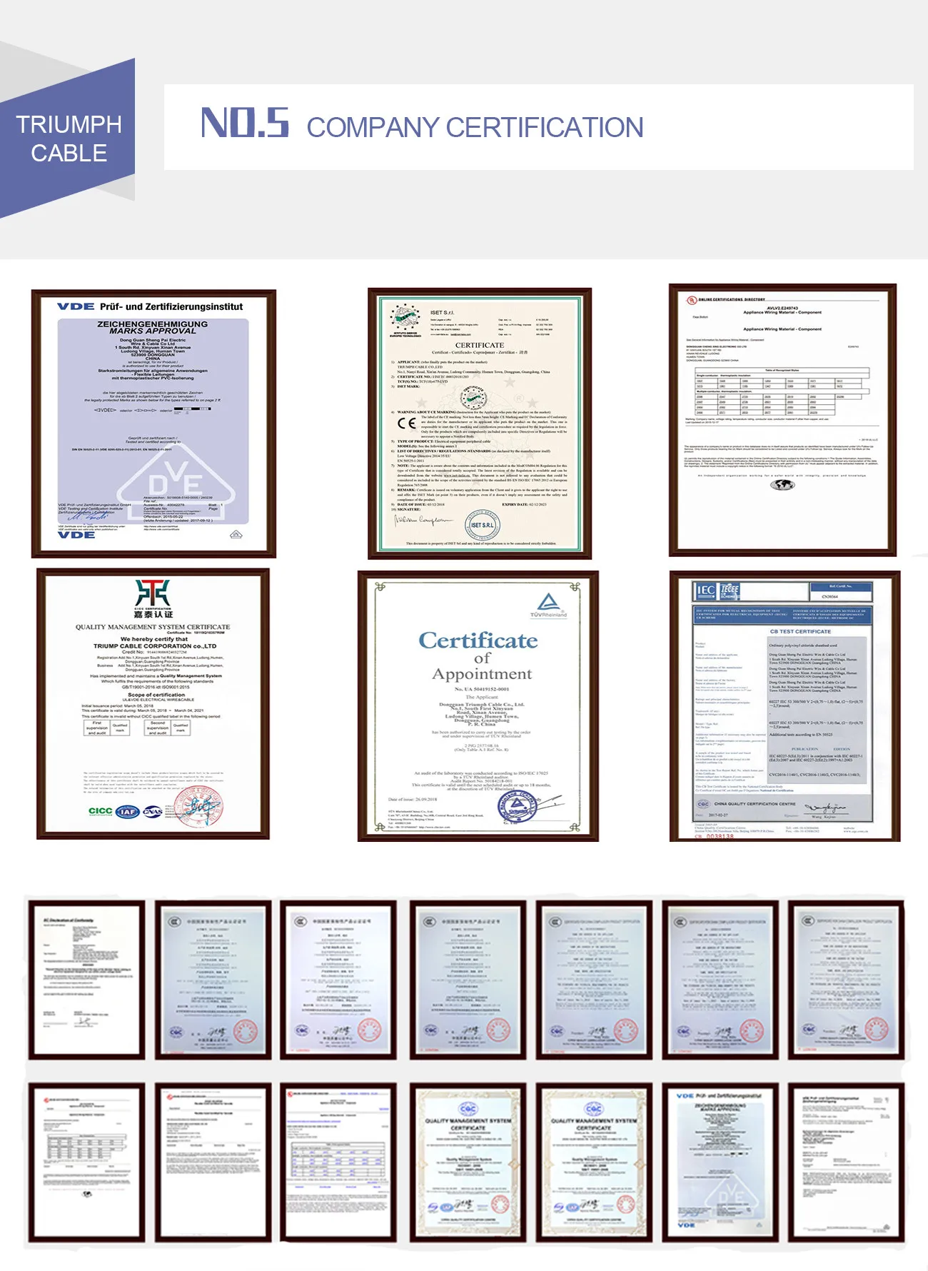 High Quality Renovação da Casa