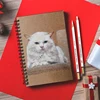 Dainayw White Charcoal Pencils Drawing Set, 6 Pcs Smooth Soft & Medium Sketching Pencil for Highlighting Art Supplies 6