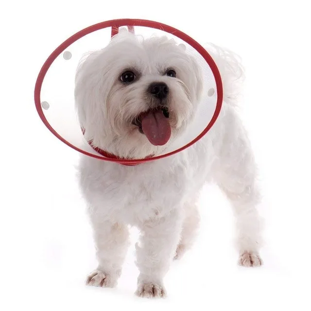 Practical-Boutique-Pet-Dog-Cat-Elizabethan-Non-toxic-Medical-Wound-Healing-Cone-Pet-Anti-Bite-Collar.jpg_640x640 (1)