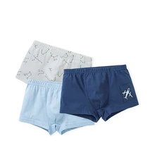 Balabala/детское нижнее белье; штаны для мальчиков; хлопковые зимние шорты; модные штаны; три вида