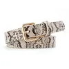 Female Leopard Belt Snake Skin Zebra Print Thin Horsehair Waistband PU Leather Gold Ring Heart Pin Metal Buckle Ladies Belts ► Photo 3/6