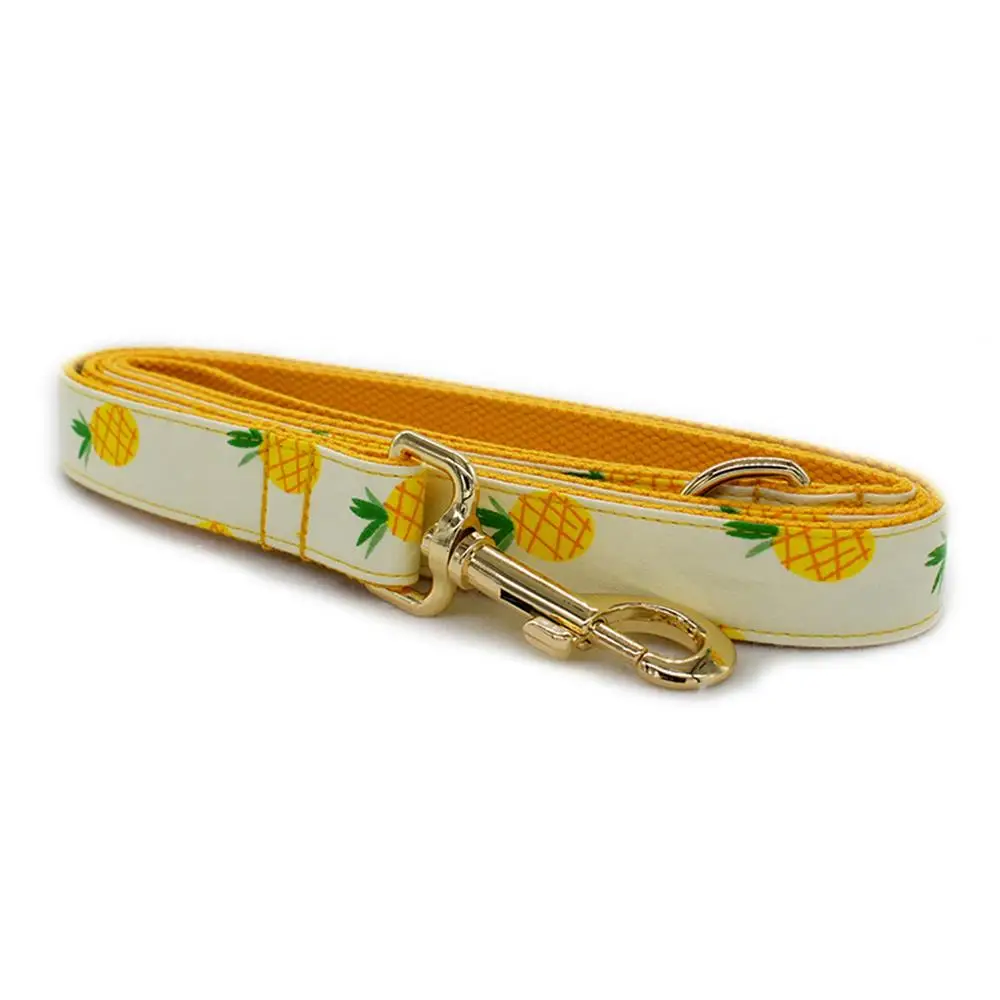 Персонализированные ананас ошейник для щенка кошки ID тег Регулируемый