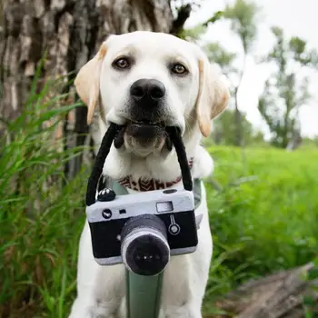 

Cute Pet Toy for Small Big Dogs Toys Sound Camera Shape Squeak Toy Creative Puppy Toy Photo Props Pet Supplies