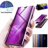 Phone Bags & Cases