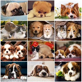 

HUACAN Full Square Diamond Painting Dog 5D DIY Diamond Embroidery Animal New Arrival Home Decoration Gift