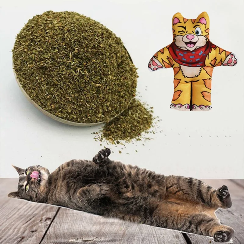 Кота жевательные игрушки С Кошачьей Мятой забавная Кукла интерактивная кошка игрушка питомец котенок шлифовальные игрушка когти с накатанной головкой укус кошачья мята для кошек зубы игрушки