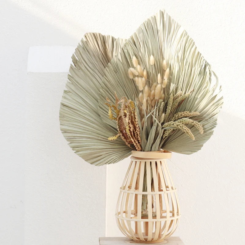 1pc Natural Dried Flower Palm Leaf Fan Plant Tree Leaves Home Garden Wedding Party Living Bedroom Table Decoration | Дом и сад