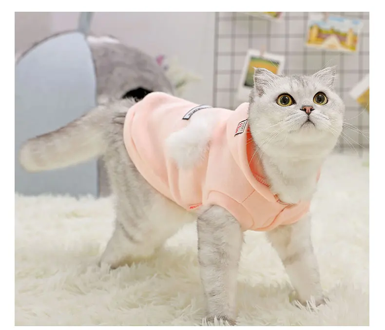 详情_O1CN01QAOobA24Nd7L8yCnP___704407379