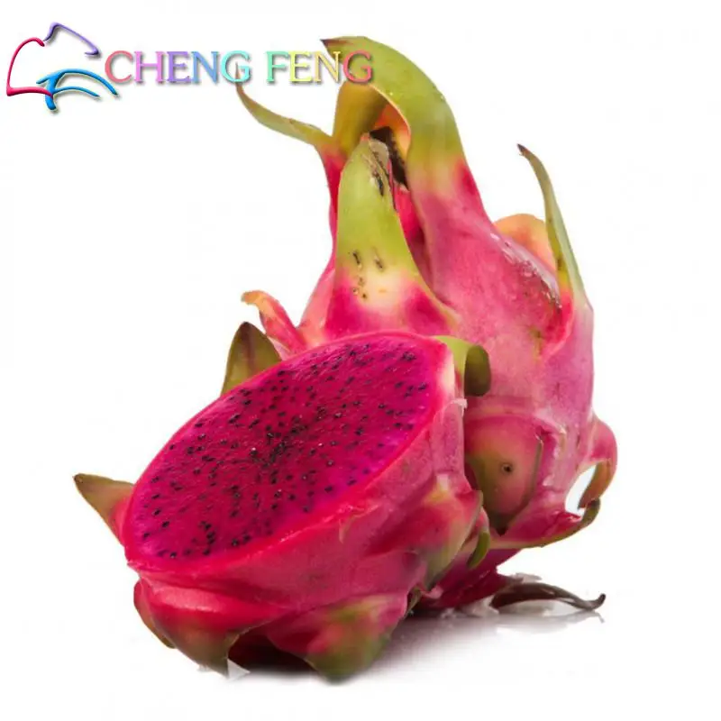 100pcs Pitaya Bonsai Dragon Fruit Garden Potted Tree Fruittreeplant
