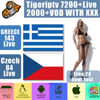 

2020 Europe IPTV M3U subscription Portugal 1 Year Greece Germany Czech TV Channels for Smart TV Android TV Box Enigma2 mXg 256