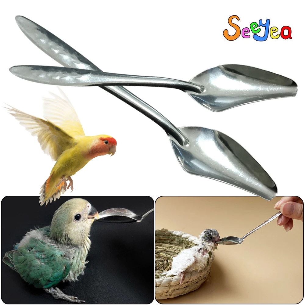 Bird Parrot Feeding Spoon Stainless Steel Milk Medicine Parrot Feeder