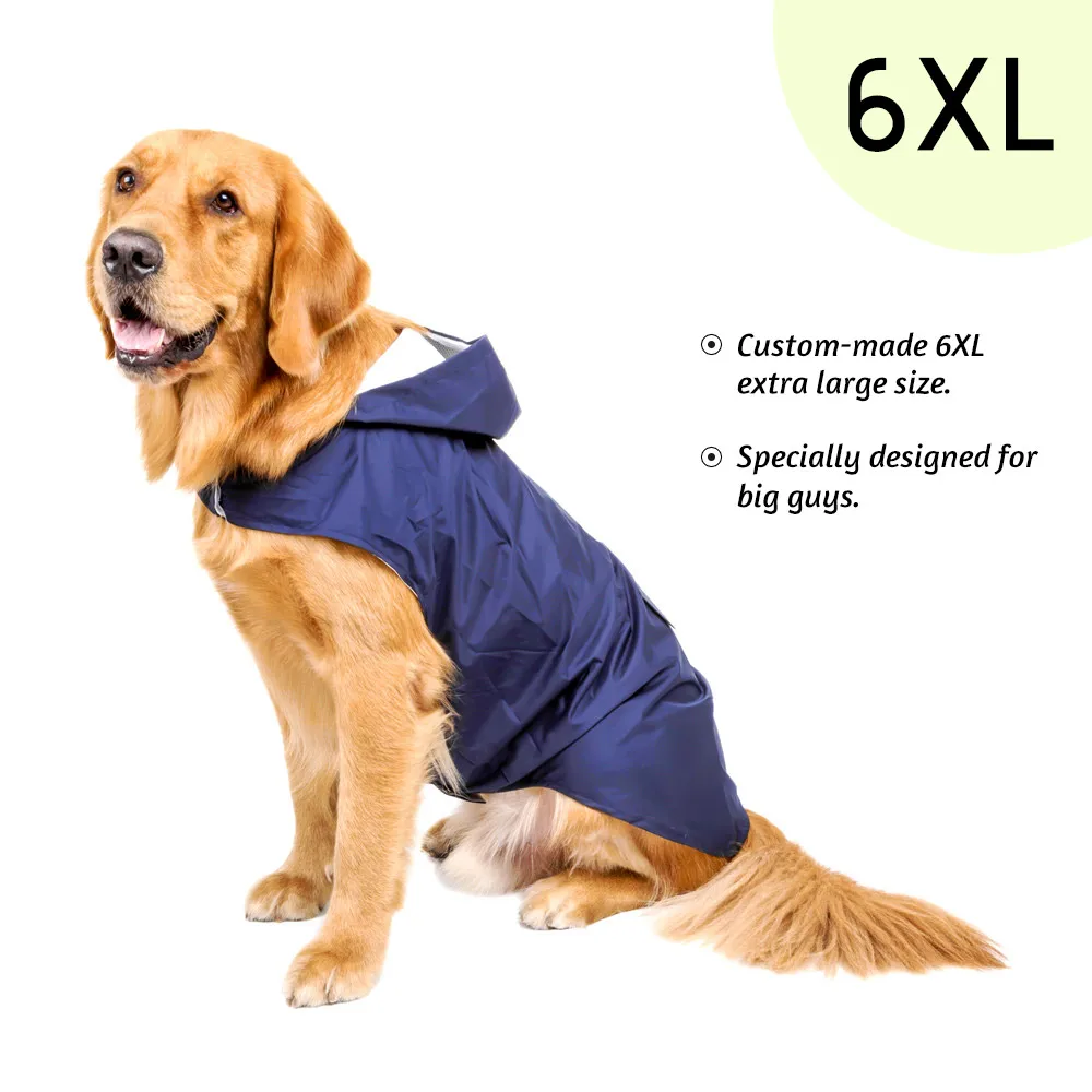 raincoat for labrador retriever