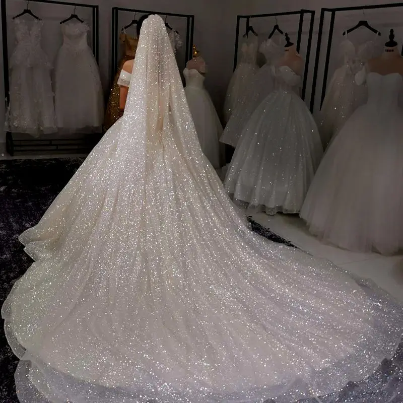 B58 Champagne Wedding Veil Bling Bridal Veils Long 3M/5M Sparkle Veil Cathedral Wedding Veils One Layer Shiny Veil with Comb B58 Champagne Wedding Veil Bling Bridal Veils Long 3M/5M Sparkle Veil Cathedral Wedding Veils One Layer Shiny Veil with Comb