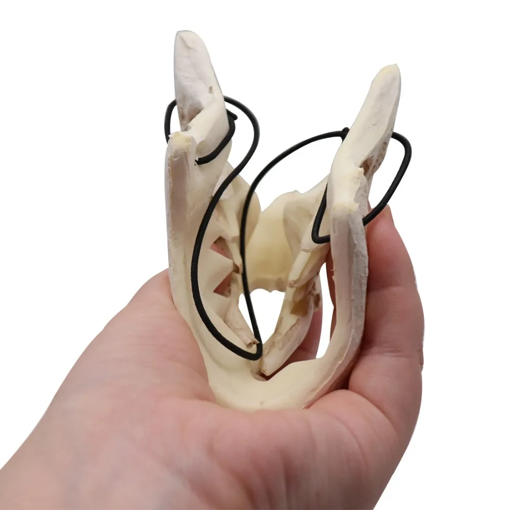 13768044205_421883003