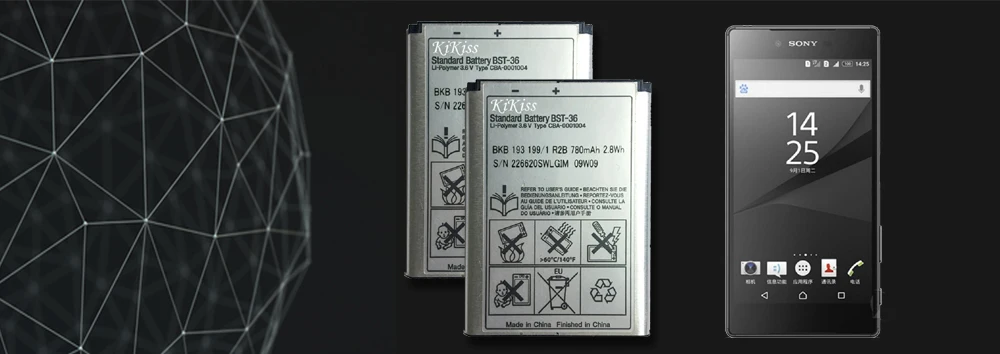 CSlogo SONY BST-36   (2)