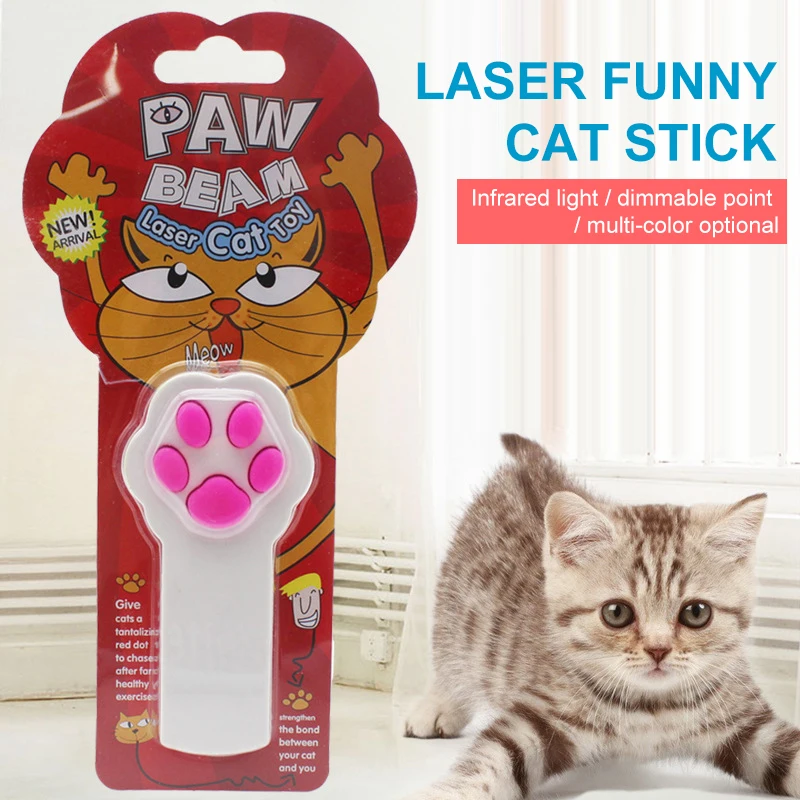cat laser beam