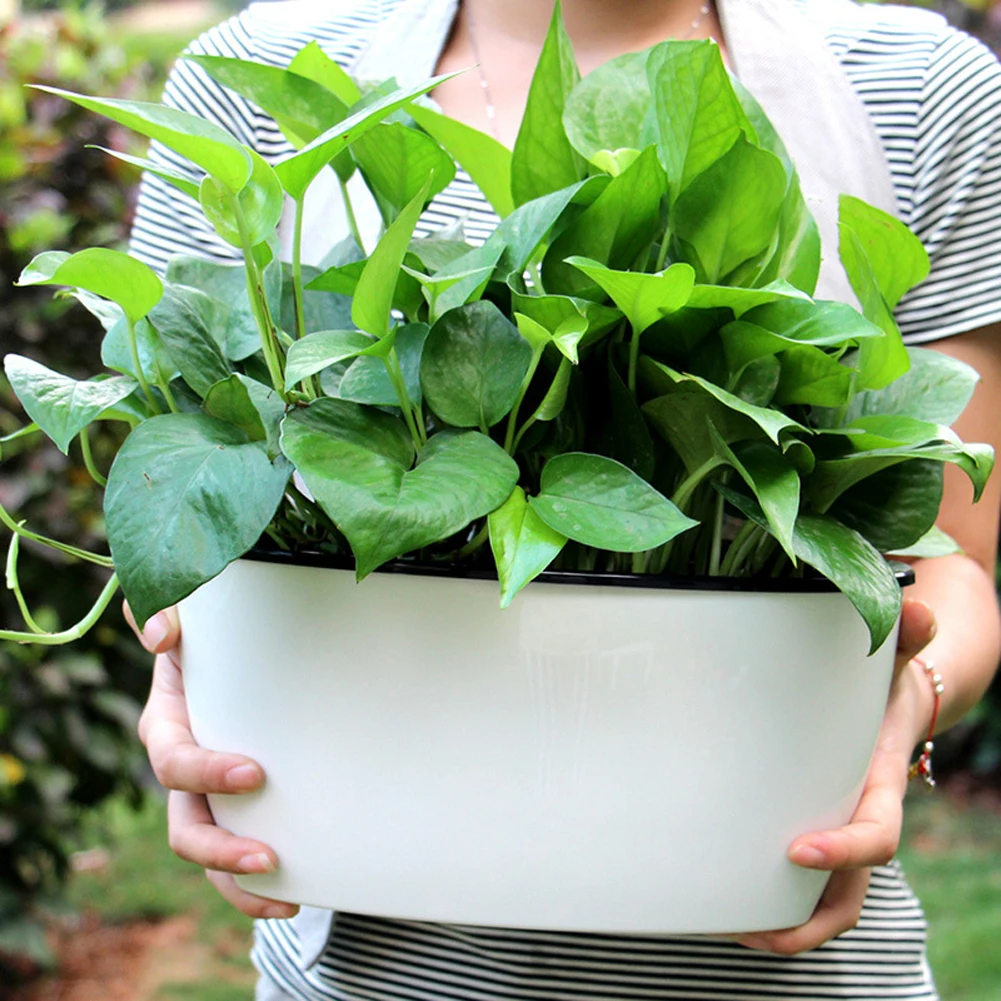 Lawn Courtyard Simple Garden Easy Apply Desktop Self-watering Oval Planting Wall Hanging Home Flowerpot Multifunction Practical