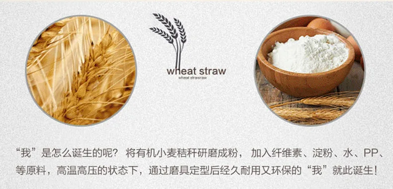 Creative Sports Bottle Double Layer Wheat Cup Printed Words Insulated Cup Advertisement Gift Cup Wheat Glass Bottle Customizable
