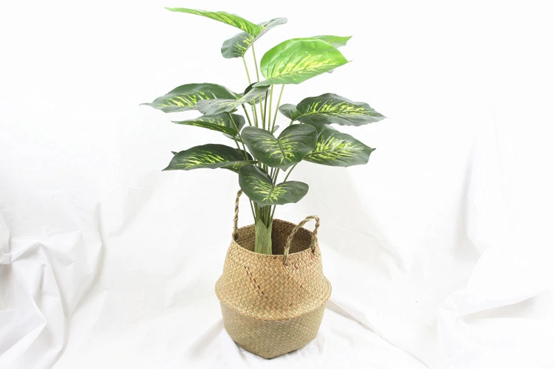 4419138366_945940454