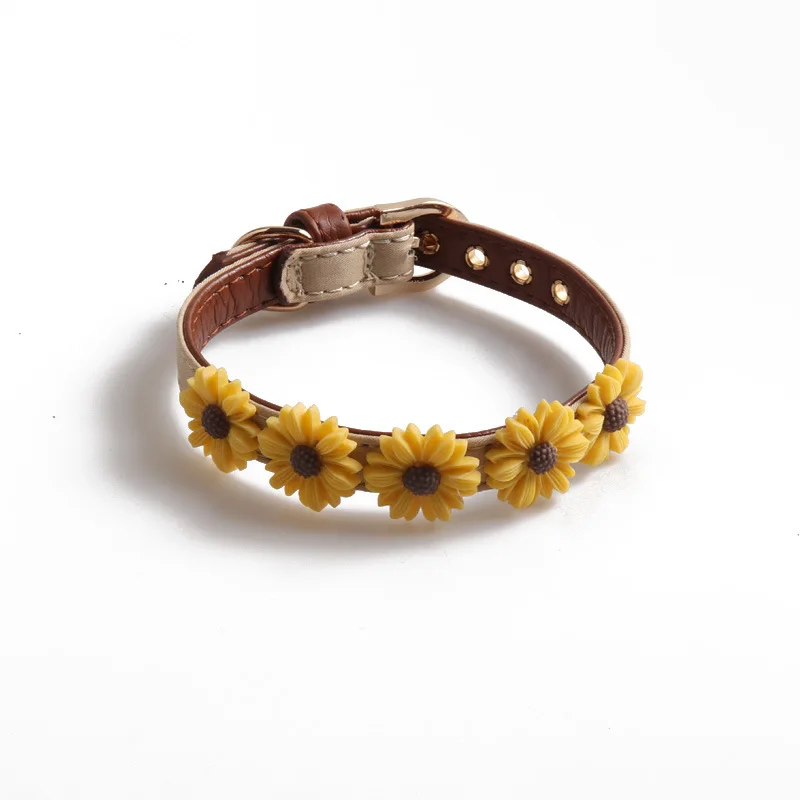 12335568518_307791824