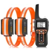Orange 2 Collars