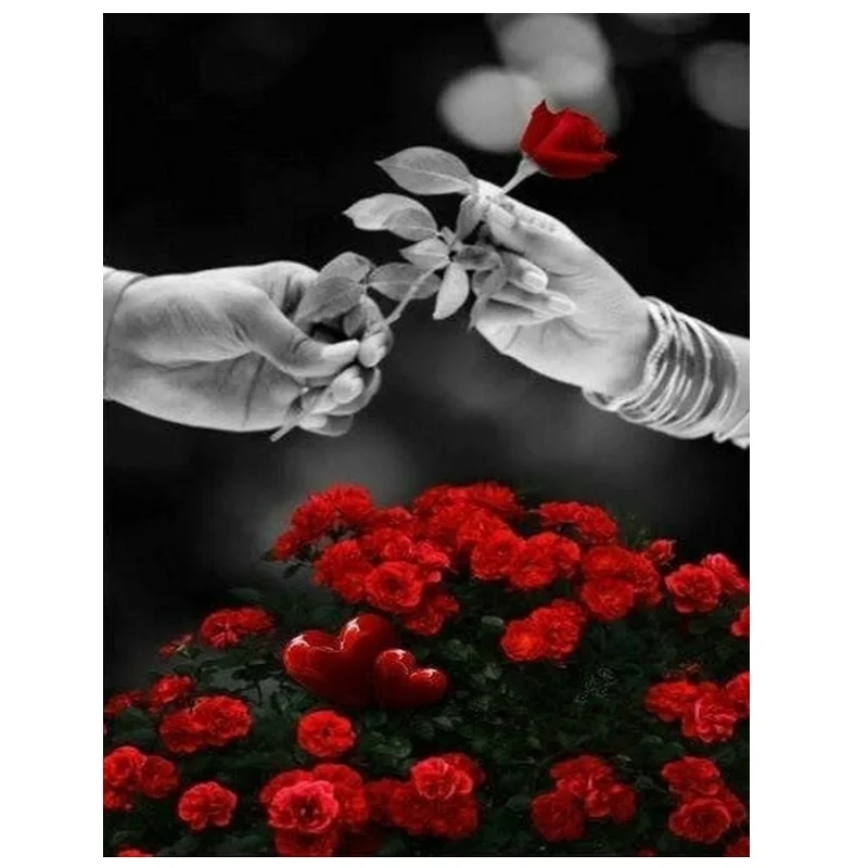 Diamant Painting Black red Diamond 5D Embroidery Kit | Дом и сад
