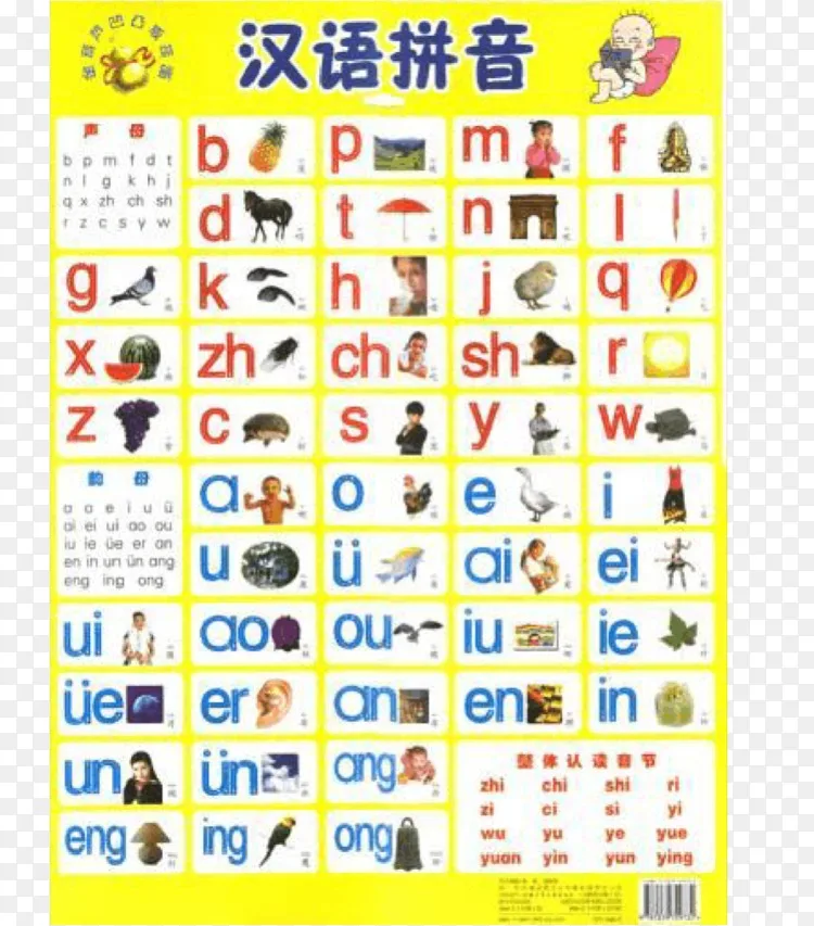 拼音音节起始标准汉语字母表 汉语拼音png图片素材免费下载 图片编号4301624 Png素材网