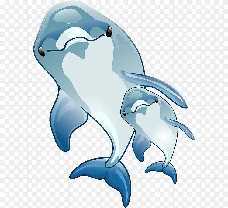矢量卡通海豚png图片素材免费下载 图片编号qzkgweej Pngbag素材网