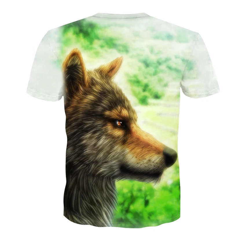 D-137-凯诚T恤短袖模板-后