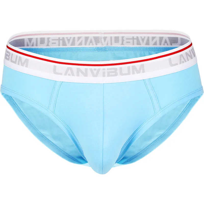 Lanvibum Man Cotton Underwear трусы мужские Ropa Interior Hombre Underpants Heren Ondergoed Heren Ondergoed Sexy ondergoed manne 3